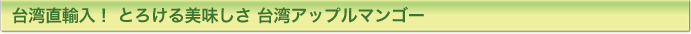 台湾直輸入！ 芯まで美味しい 台湾パイナップル10kg/大玉５〜７玉