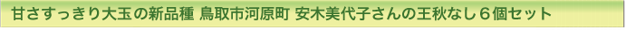 甘さすっきり大玉の新品種 王秋なし２個セット