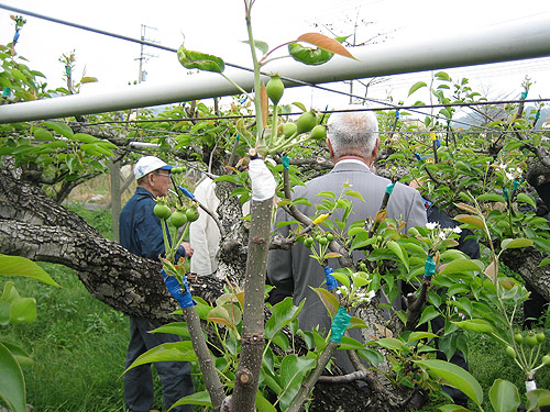 こだわり画像３