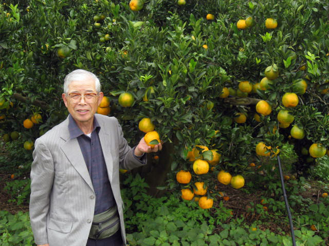 こだわり画像４