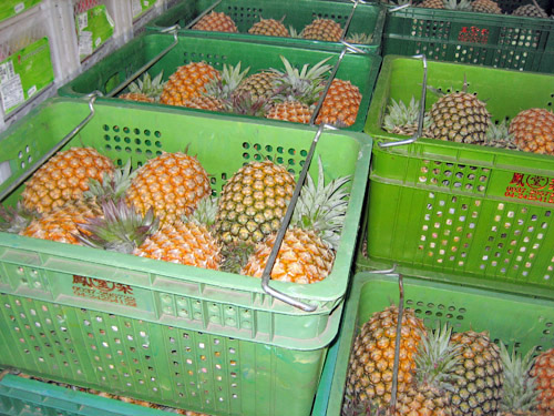 こだわり画像５