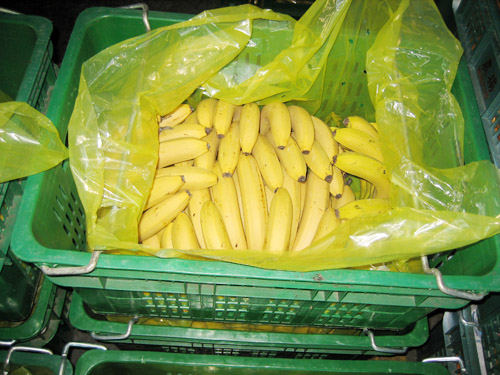 こだわり画像６