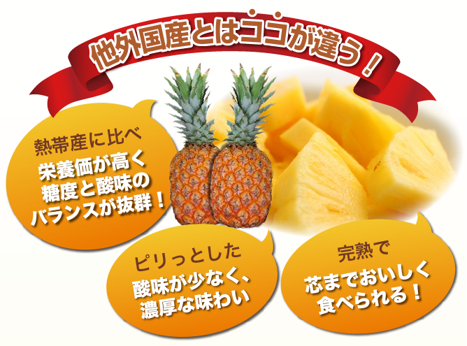 台湾直輸入！ 芯まで美味しい 台湾パイナップル10kg/大玉５〜７玉02