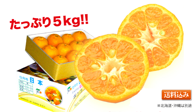 台湾直輸入！ みかん科柑橘類の王様 台湾ポンカン５kg/大玉20玉03