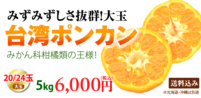 台湾直輸入！ みかん科柑橘類の王様 台湾ポンカン５kg/大玉20玉01