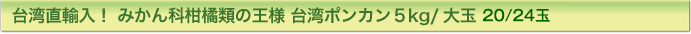 台湾直輸入！ みかん科柑橘類の王様 台湾ポンカン５kg/大玉20玉