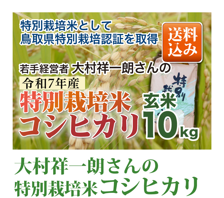 お米６